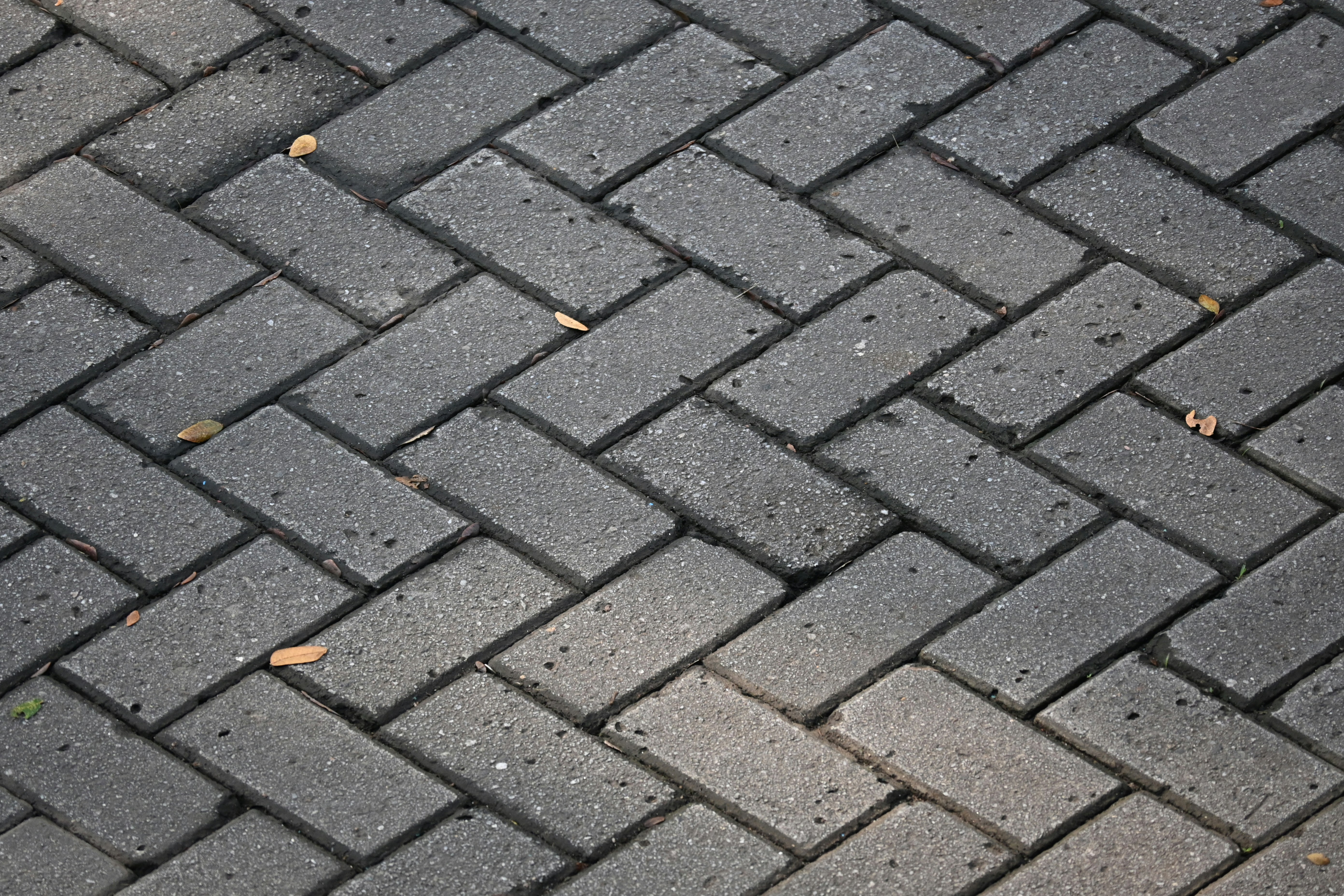 Paving Services